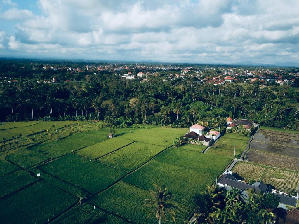 sari-padi-house-ubud5.jpg
